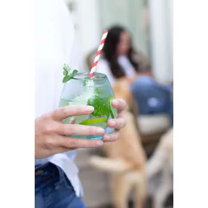 Clear Stemless Wine Glass 2