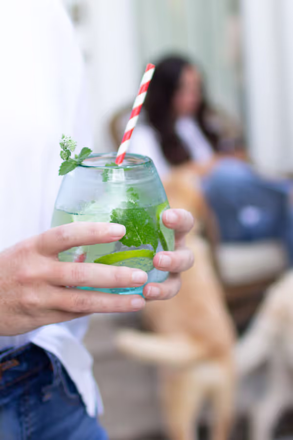Clear Stemless Wine Glass