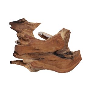 THEABURN BROWN DECOR 7 (IN) 8
