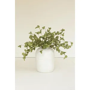 botanica #9035 1