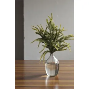 Juniper 22in 1