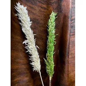 Green Avana Grass 39in 3