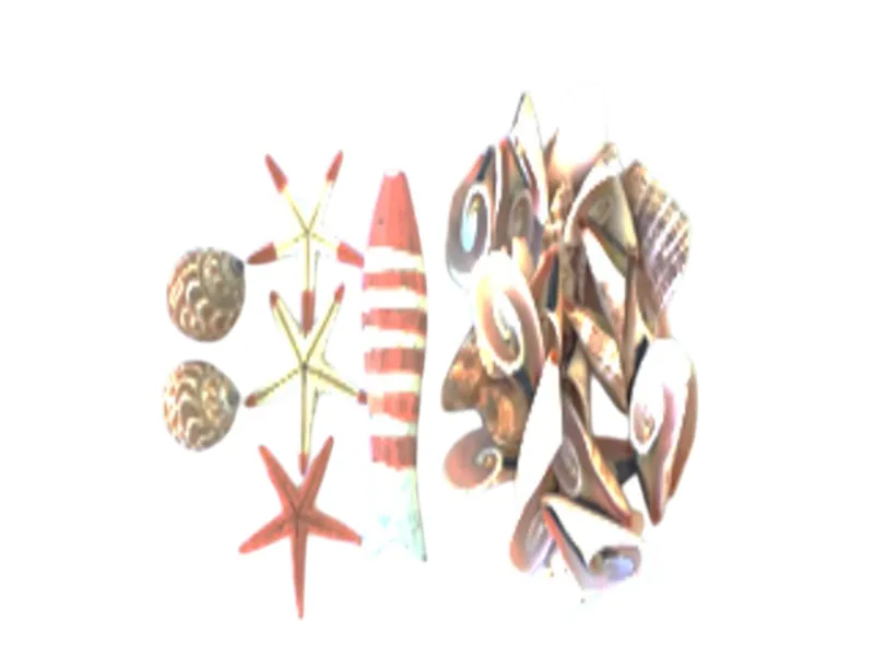 ASTD SHLL/STRFISH/RED FISH 1