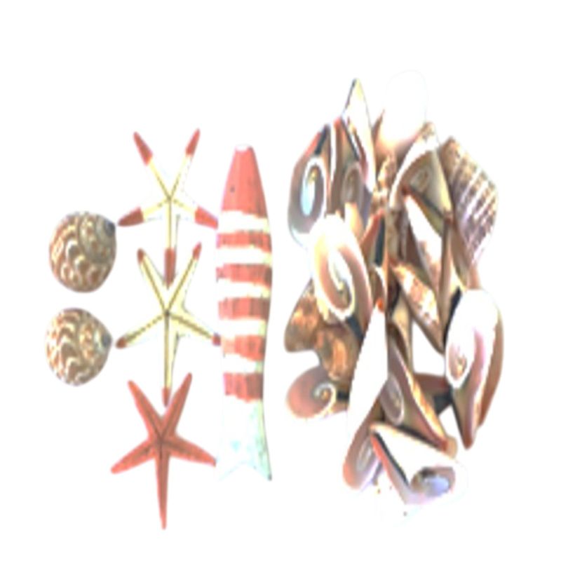 ASTD SHLL/STRFISH/RED FISH