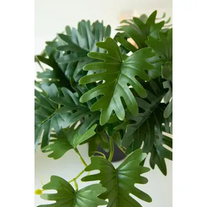 Artificial Mini Philodendron in a Black Plastic Pot 4
