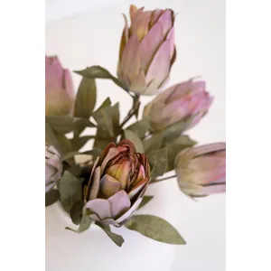 botanica #9032 4