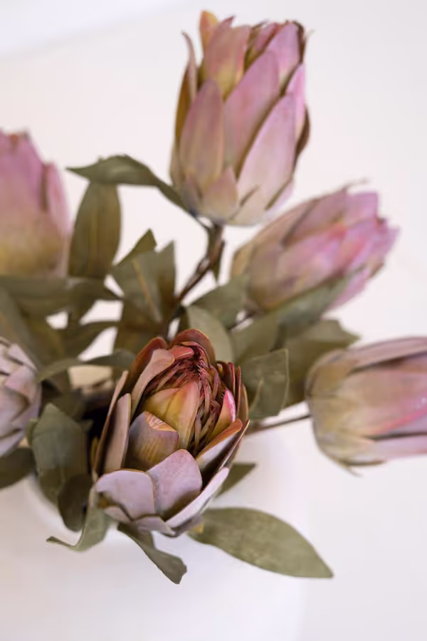 botanica #9032