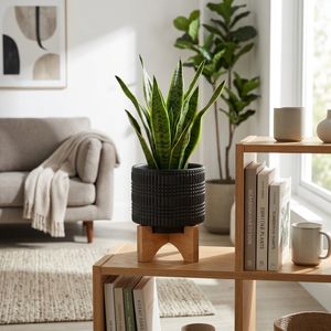 LYNNWELL BLACK PLANTER 5 (IN) 12