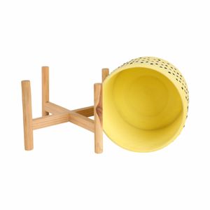 COLECREST YELLOW PLANTER 9 (IN) 8
