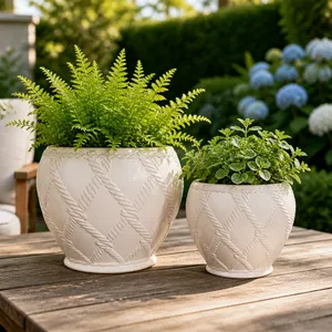 HARDWICKGATE SET OF 2 IVORY PLANTER 10 (IN) 10