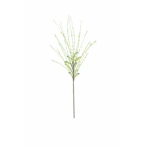 Botanica #3366 1