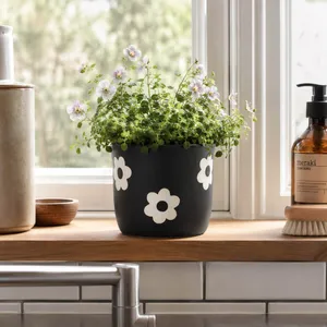 BELDENTON BLACK PLANTER 6 (IN) 2