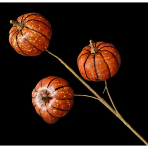 Orange Pumpkin Stem 2
