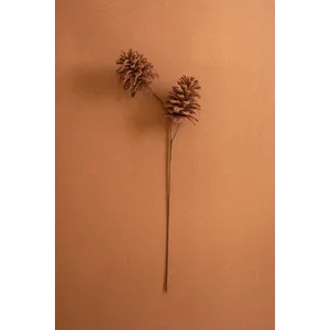 Botanica #9069 1