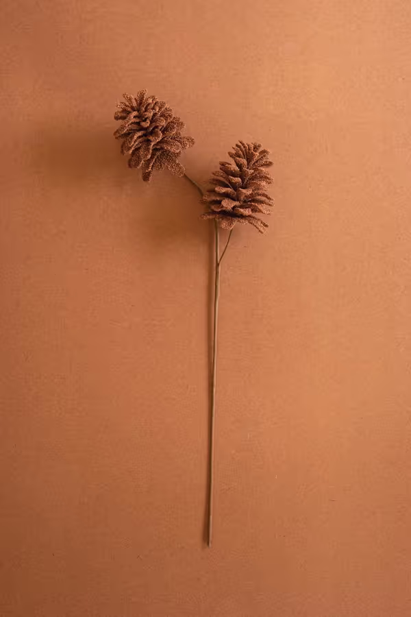 Botanica #9069