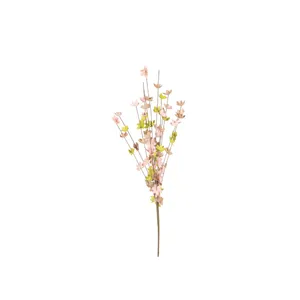 botanica #9012 4