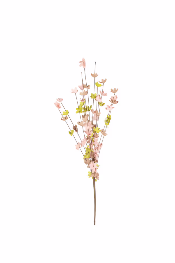 botanica #9012
