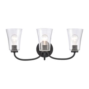 Emily 23'' Wide 3-Light Vanity Light - Matte Black 1