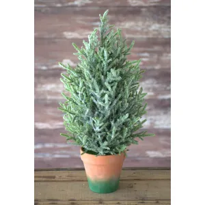20" Mini Topiary Pine w/ Ice & Clay base 1