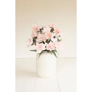 Botanica #3573 1
