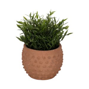 BLAIRPARK BROWN PLANTER 5 (IN) 3