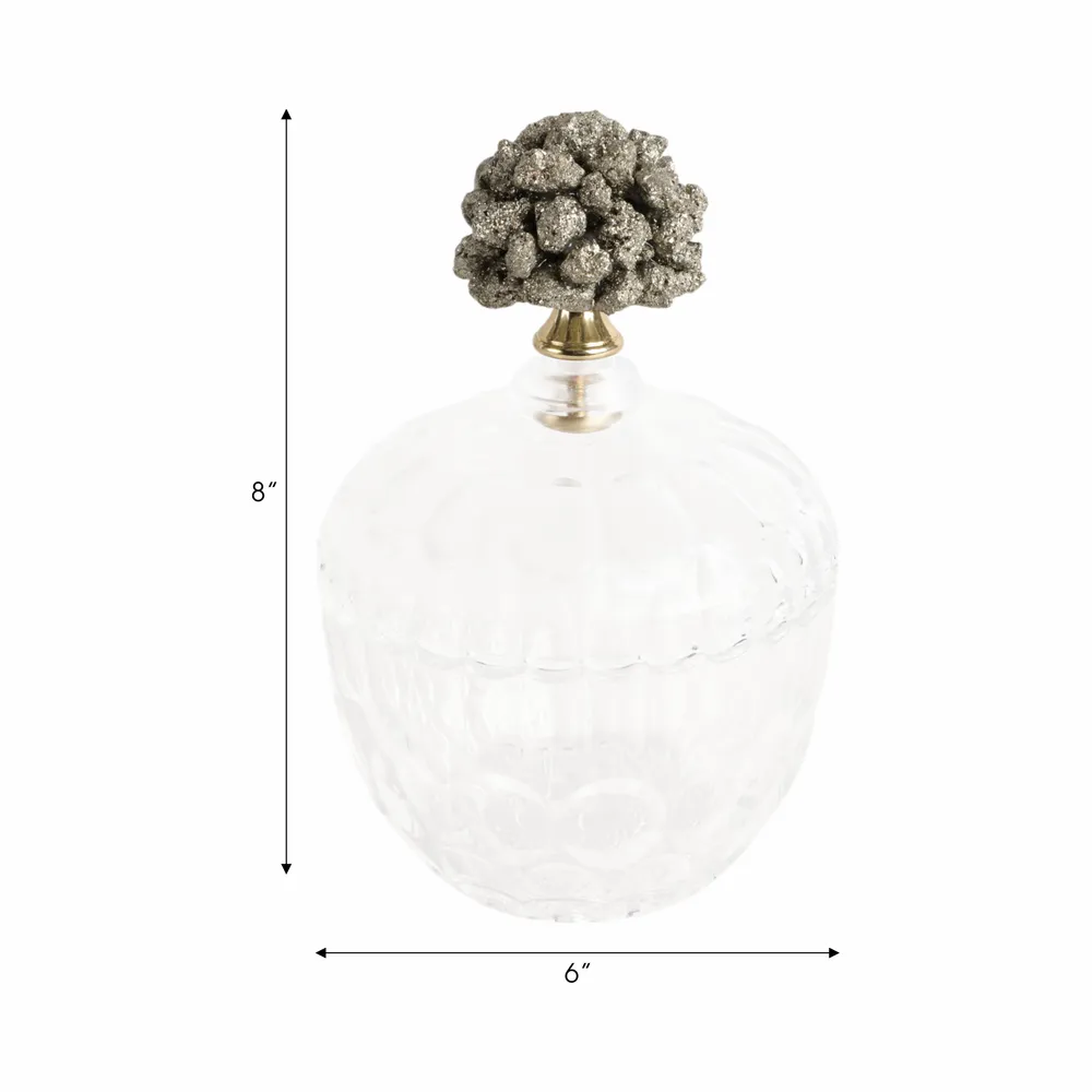 REXROSE CLEAR JAR 8 (IN)
