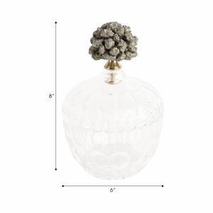 REXROSE CLEAR JAR 8 (IN) 10