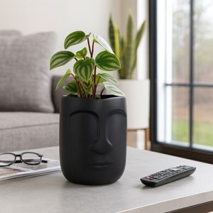 HEATHWIND BLACK VASE 8 (IN) 11