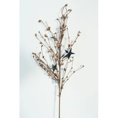 Long Legged Star Black/Tan 26in Pick
