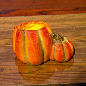 Pumpkin Planter12x9x7in 1