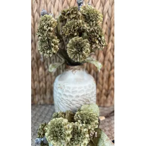 Moss Button Mum 1