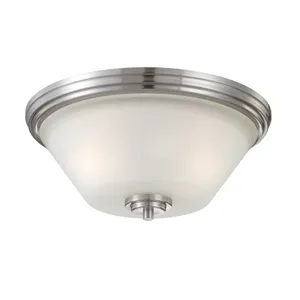 Pittman 14'' Wide 2-Light Flush Mount - Brushed Nickel 1