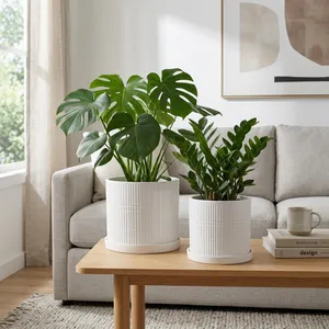 GRAHAMMILL SET OF 2 WHITE PLANTER 10 (IN) 11