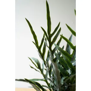 Artificial Fern in a Black Plastic Pot 2