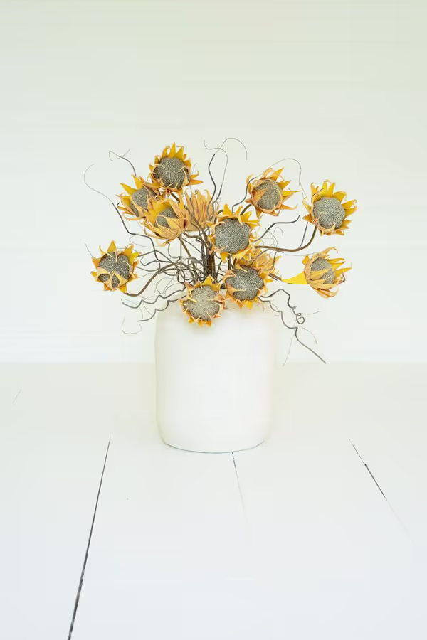 Botanica #2688