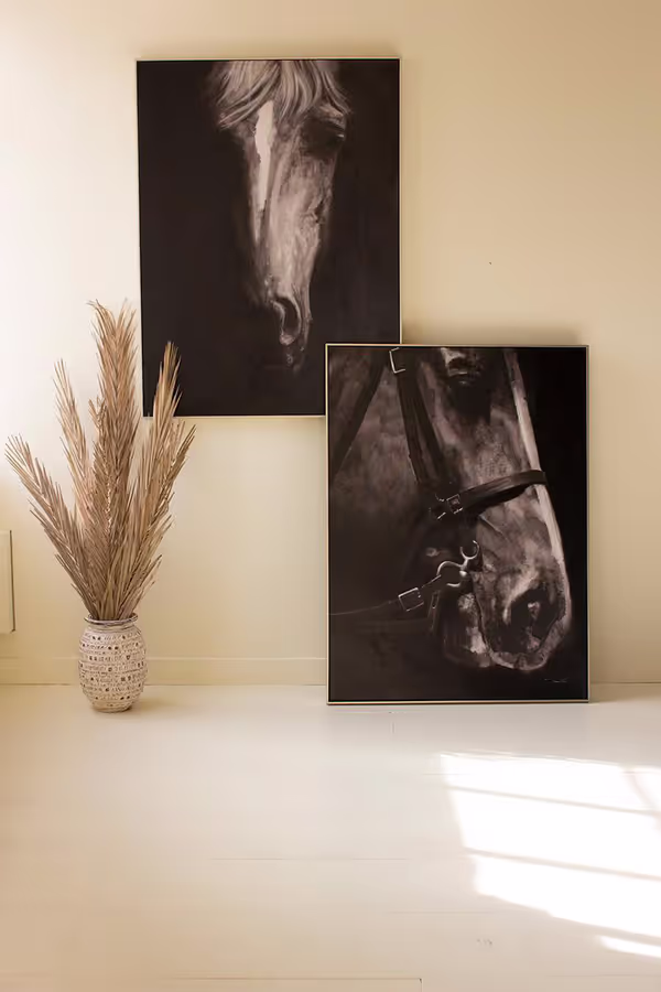 Framed Black and White Side View Horse Painting