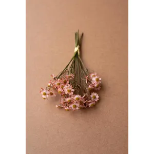 Faux Chamomile Bundle / Blush 2