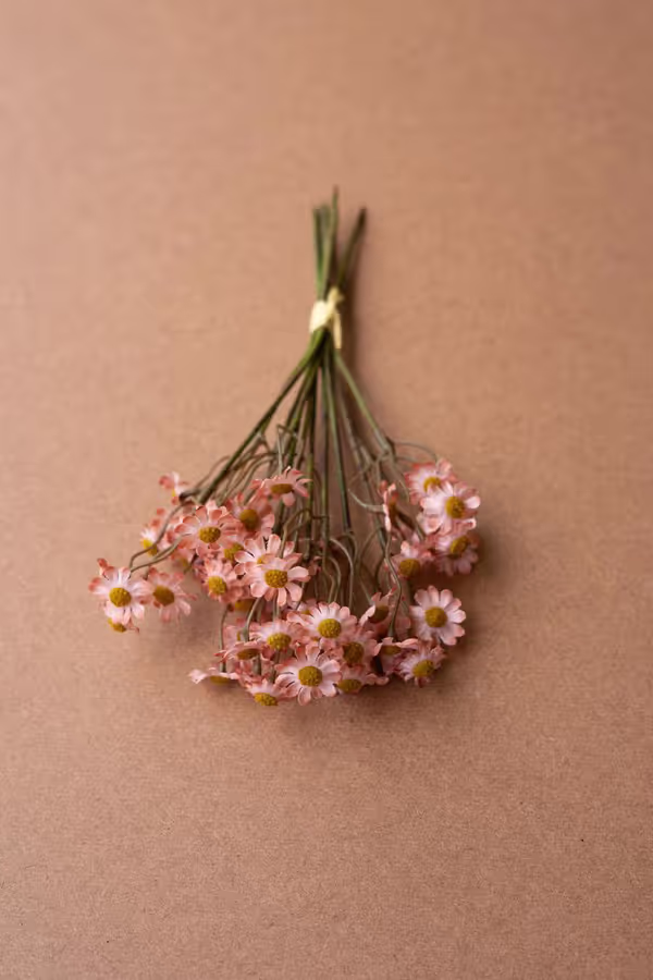 Faux Chamomile Bundle / Blush