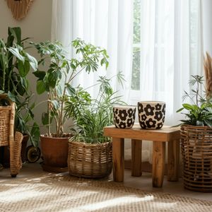 AXELGROVE SET OF 2 BLACK PLANTER 8 (IN) 2