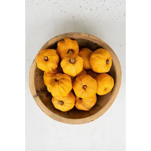 Bag of 15 Dried Miniature Faux Pumpkins - Orange 1