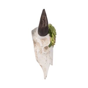 EDGEFORD IVORY WALL SCULPTURE 18 (IN) 4