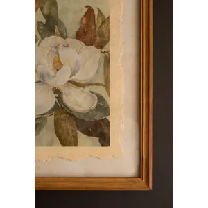 Set of 2 Framed Magnolia Prints Under Glass 4