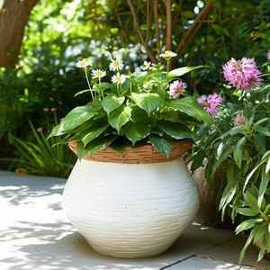 CHESTER WHITE PLANTER 7 (IN) 12