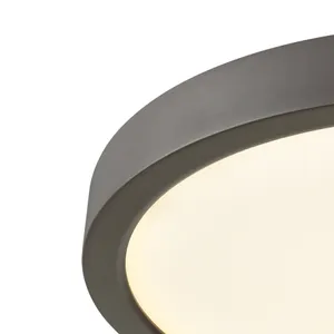 Titan 10'' Wide 1-Light Down Light - Oil Rubbed Bronze 3