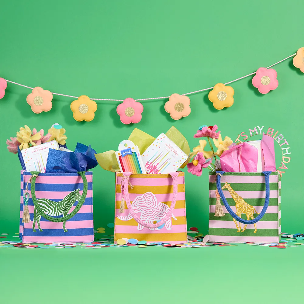 Zebra Stripe Reusable Itsy Bitsy Gift Bag