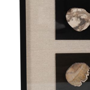 CALLAND BROWN ART 47 (IN) 7