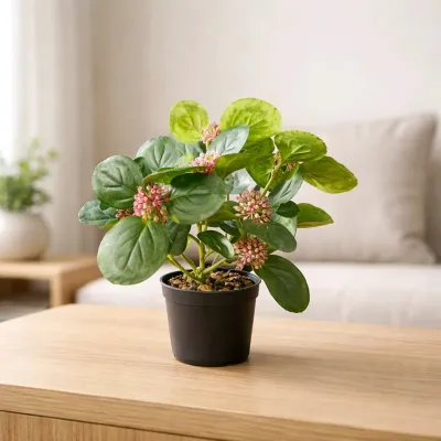 Blushing Grove Pot 13in