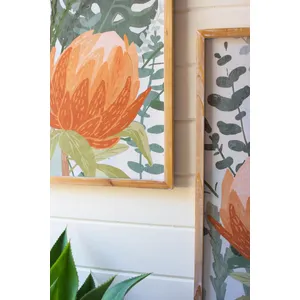 Set of 2 Framed Protea Prints Under Glass 2