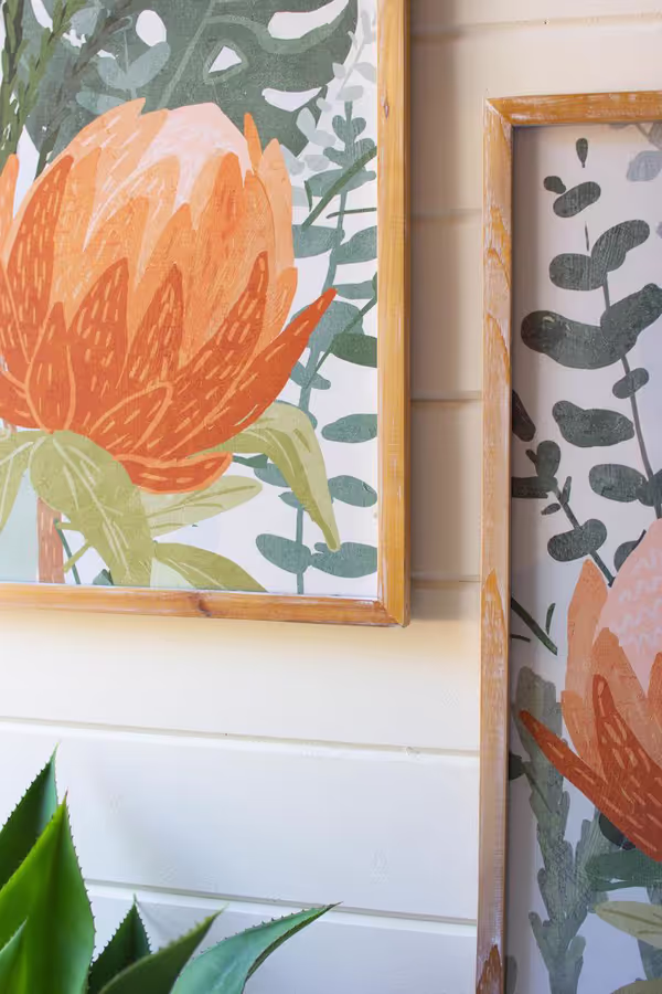 Set of 2 Framed Protea Prints Under Glass
