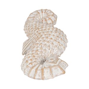 DYLANRIDGE WHITE DECOR 12 (IN) 7